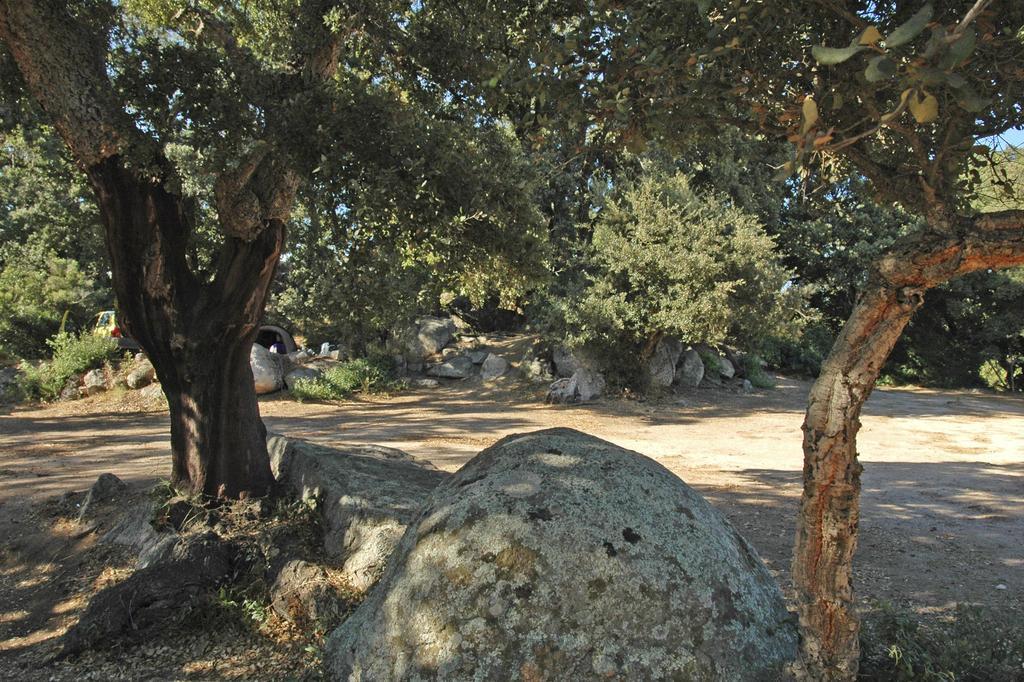 Camping Pezza Cardo Porto-Vecchio  Extérieur photo